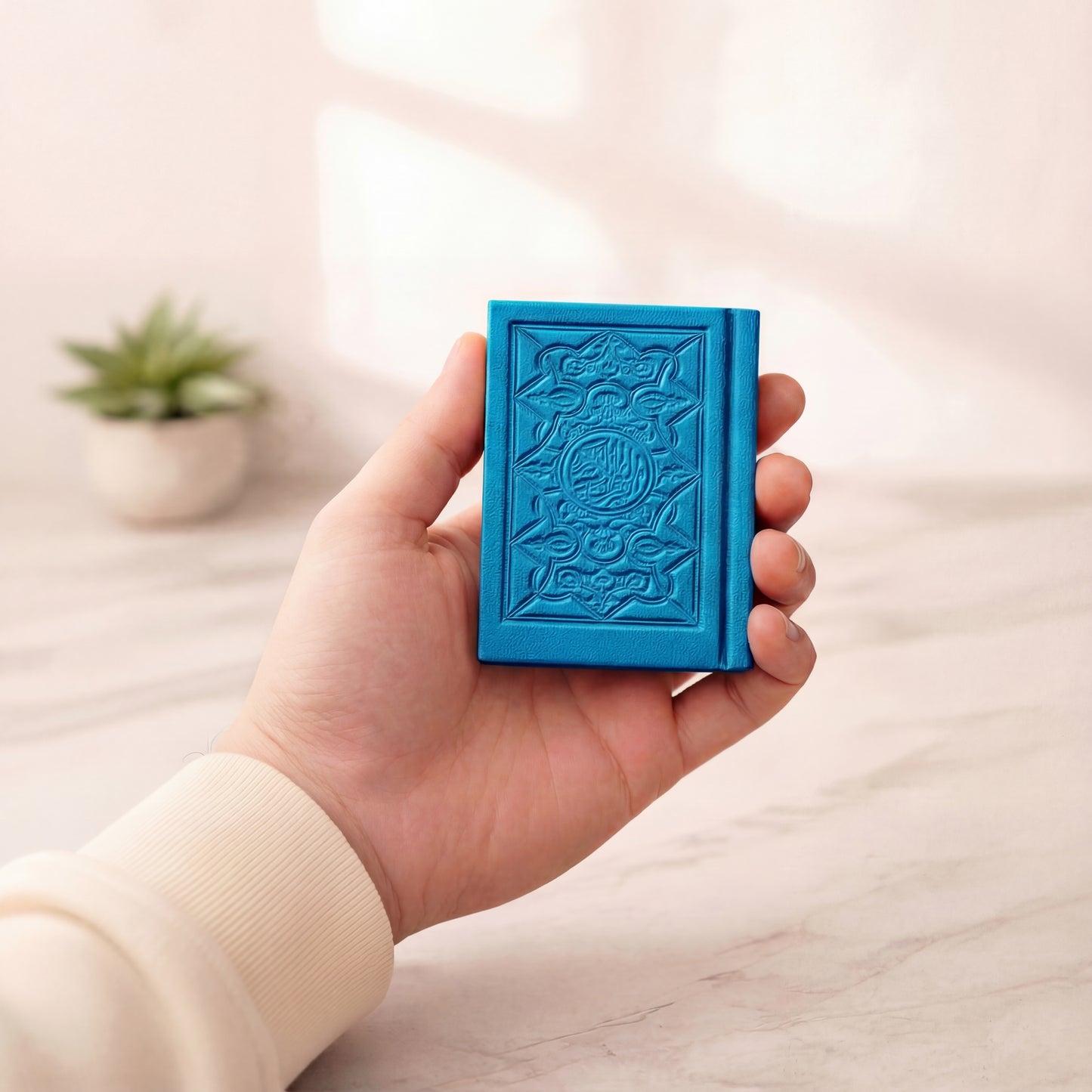 Pocket Quran
